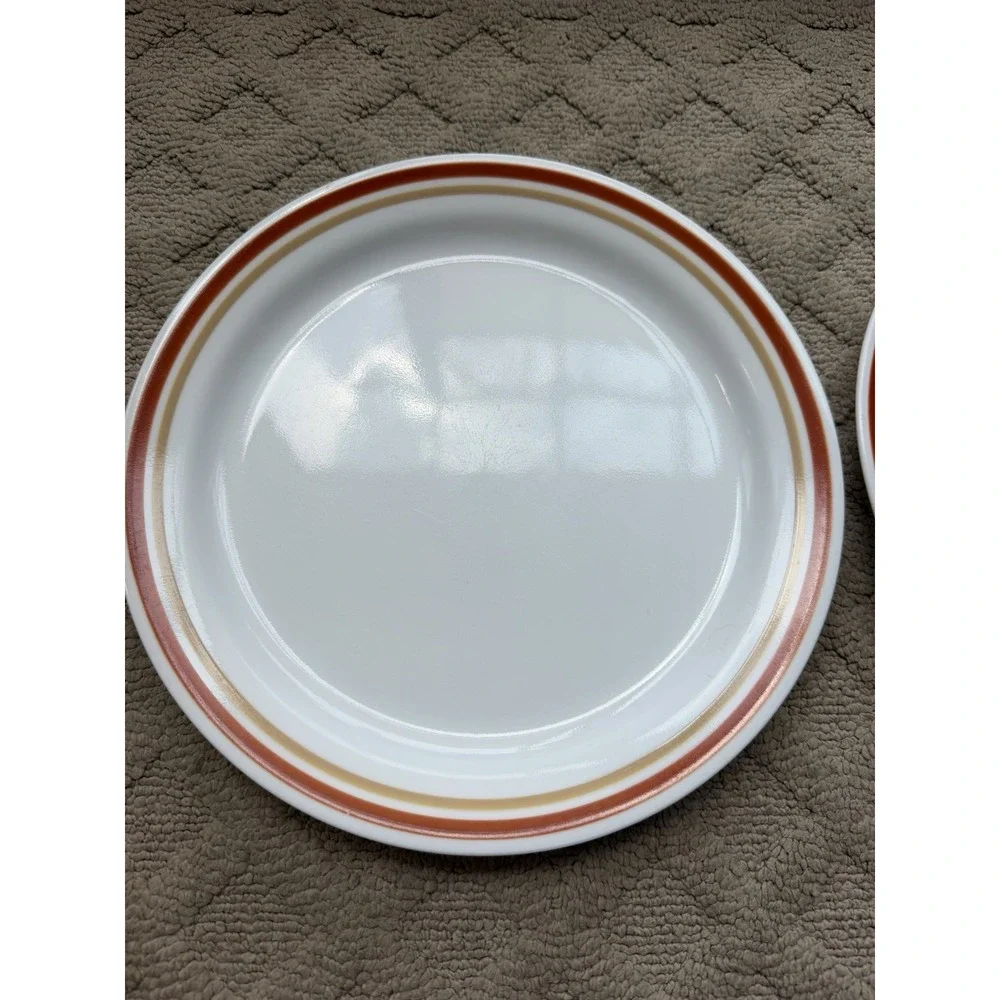 Vintage Corelle Dinner Plates Cinnamon Chestnut Lot of 2